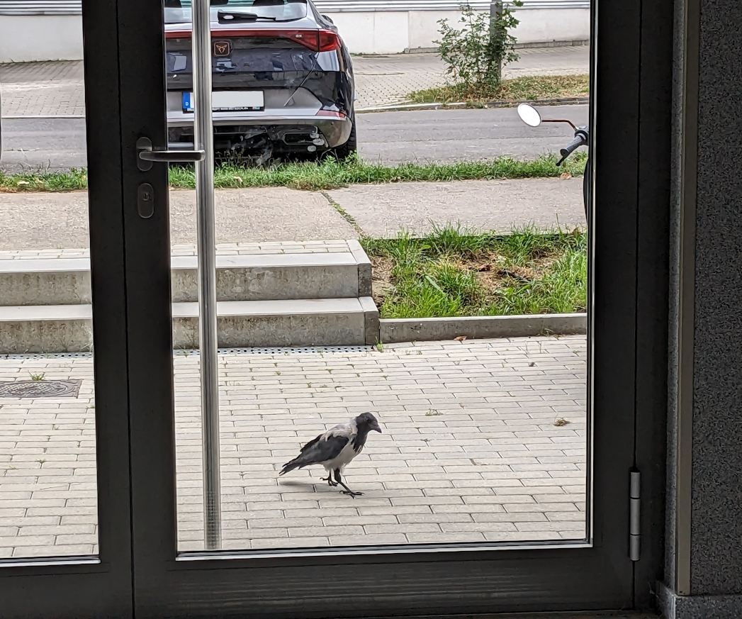 Knock, knock!